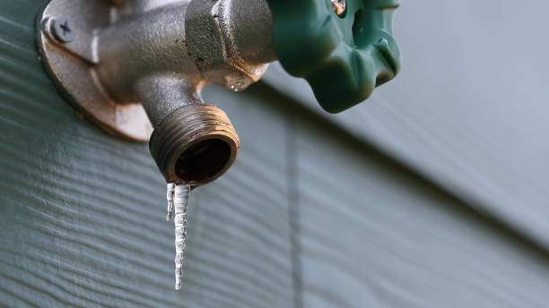 Best Commercial Plumbing Services  in Heron Bay, GA